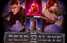Dead Or Alive 2